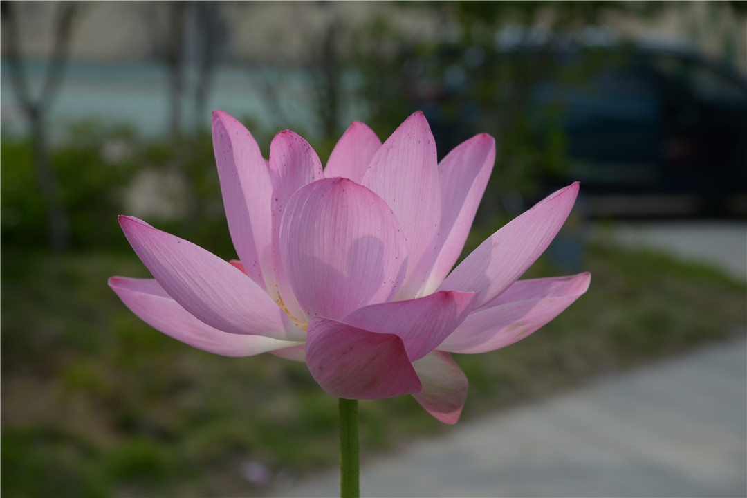 кĺɻˣµ죡