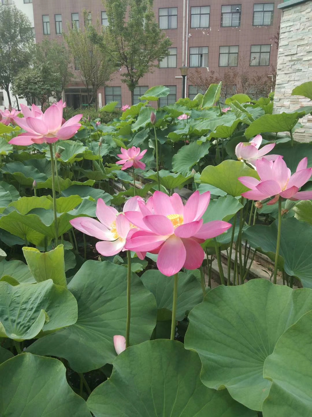 кĺɻˣµ죡