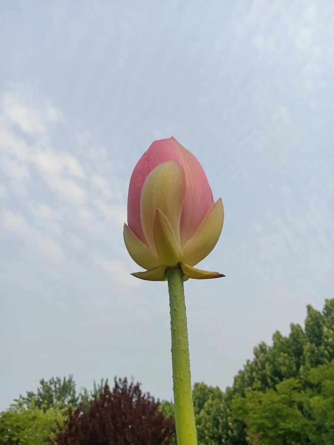кĺɻˣµ죡
