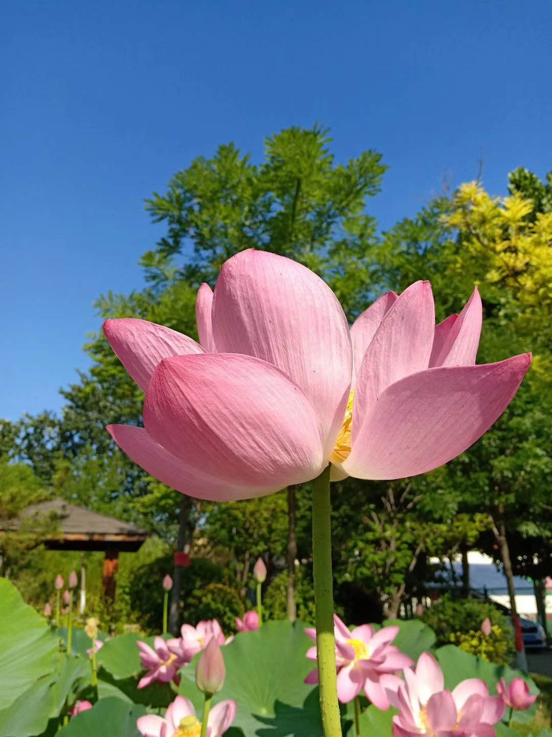 кĺɻˣµ죡
