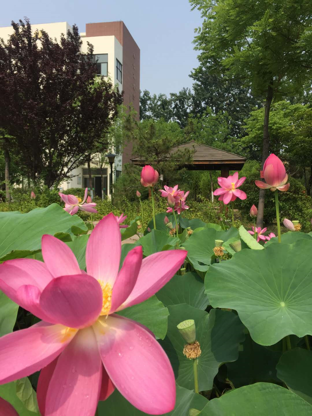кĺɻˣµ죡