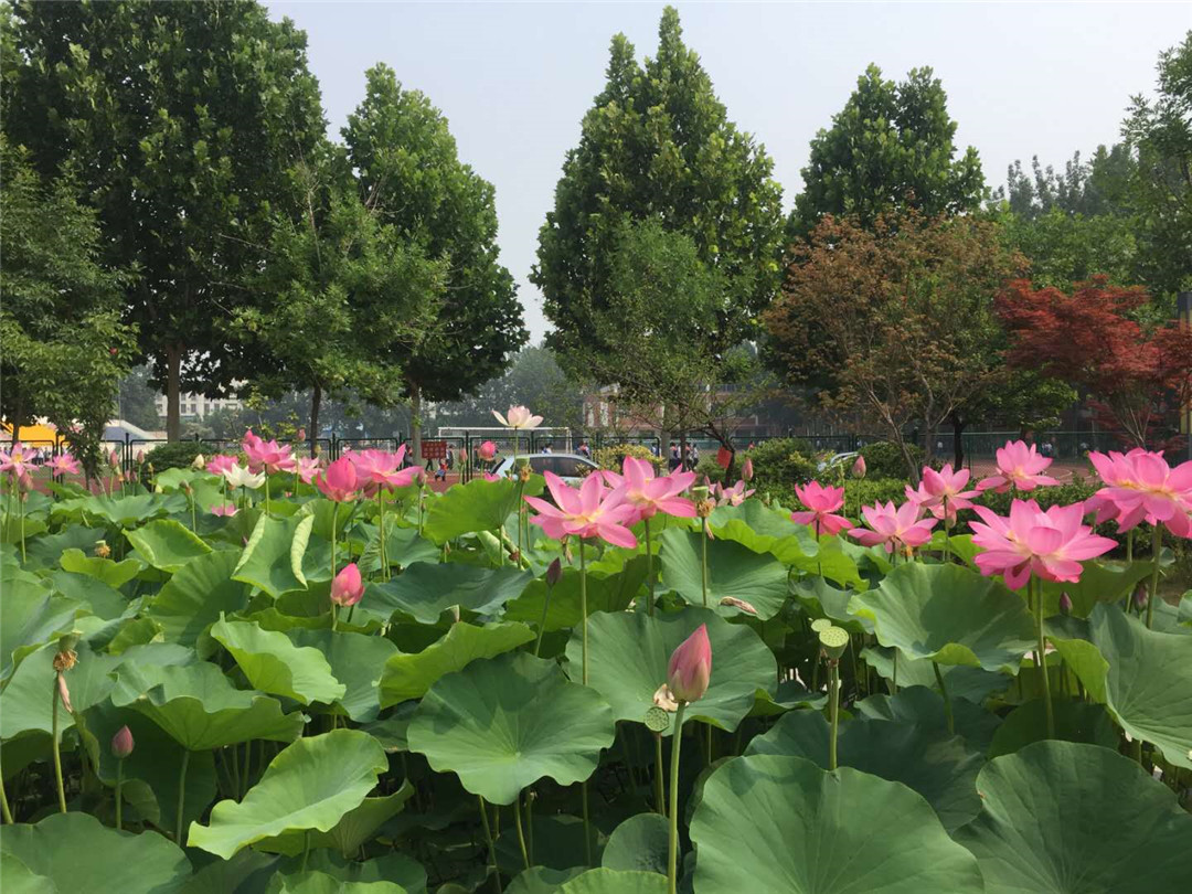 кĺɻˣµ죡