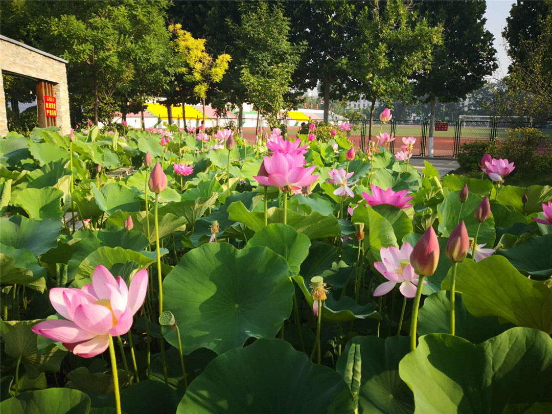 кĺɻˣµ죡
