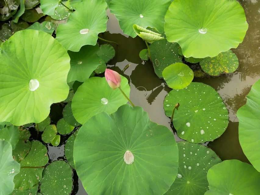 кĺɻˣµ죡