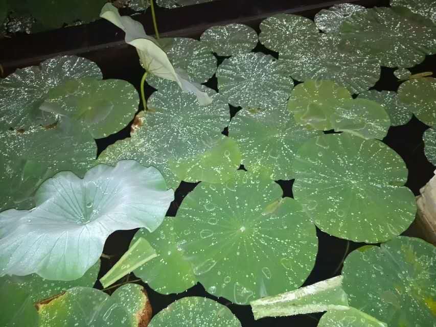 кĺɻˣµ죡