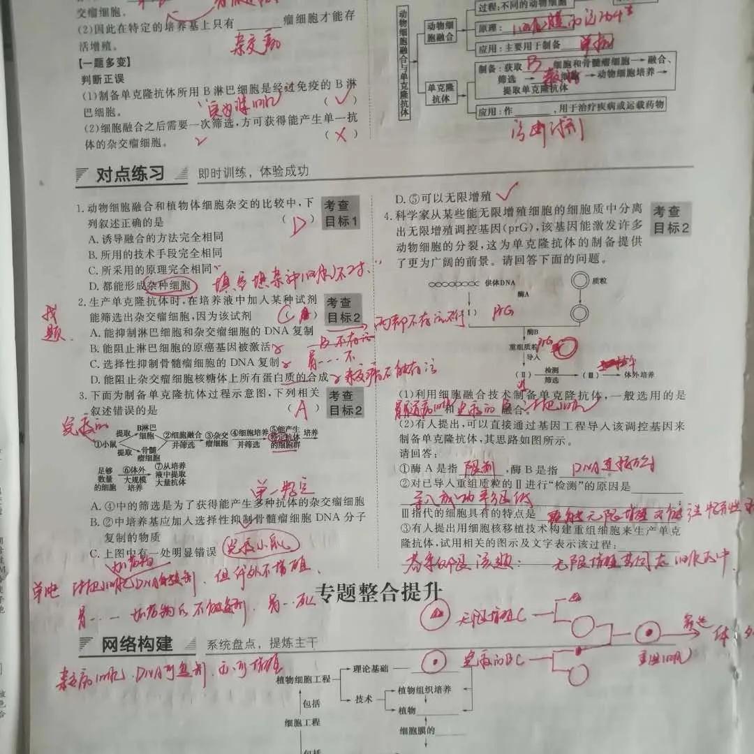 첻䡪